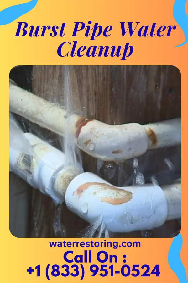 Burst Pipe Water Cleanup in Pickerington, OH