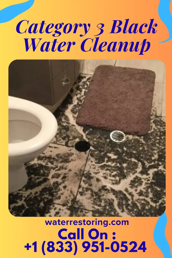 Category 3 Black Water Cleanup in Pickerington, OH