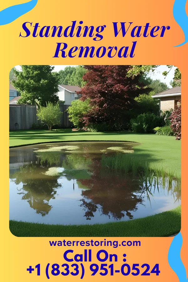 Standing Water Removal in Pickerington, OH